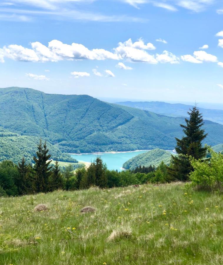 Вилла Conacul Secaria Экстерьер фото