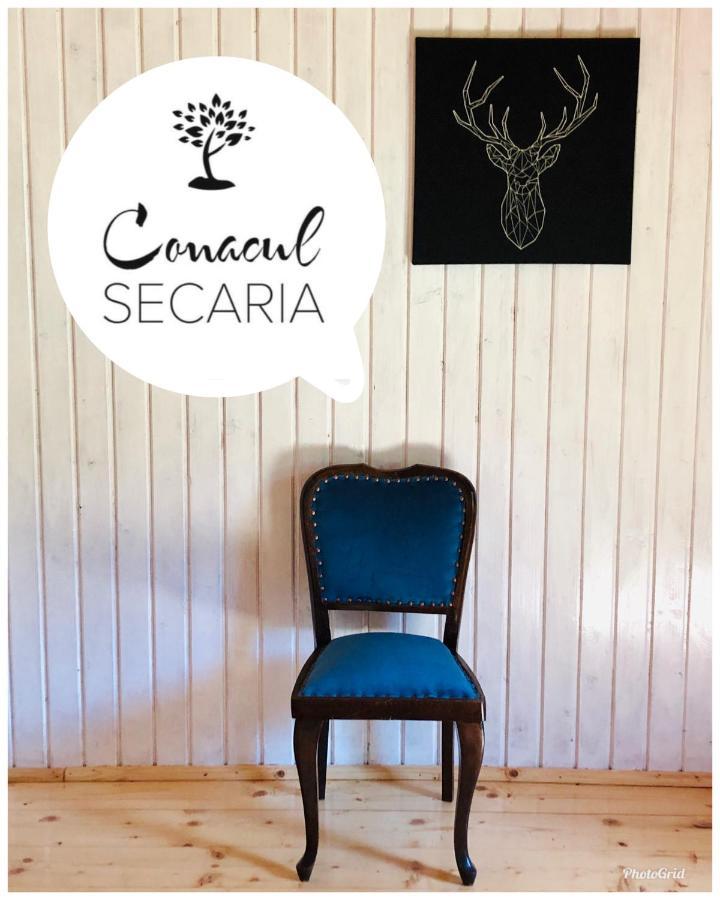 Вилла Conacul Secaria Экстерьер фото
